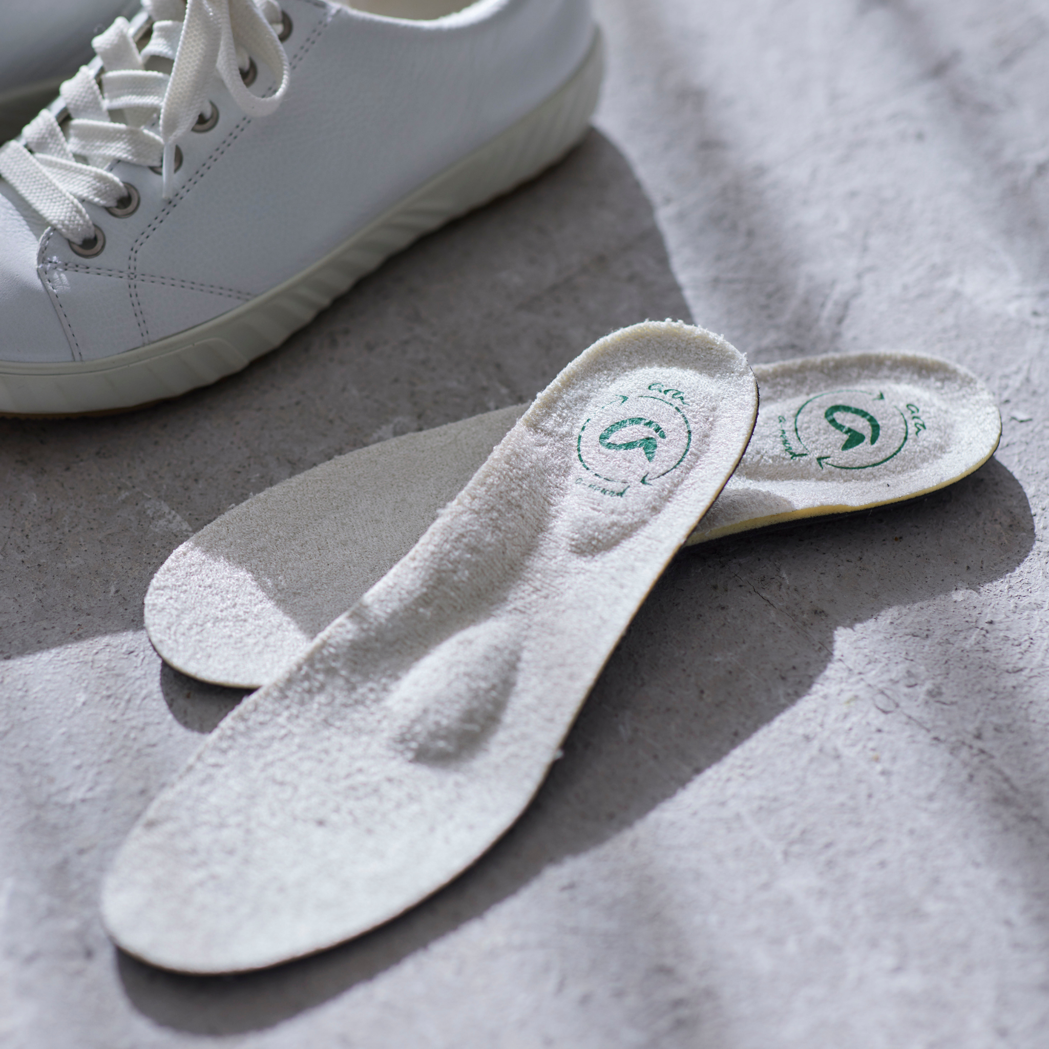 スニーカーコレクション