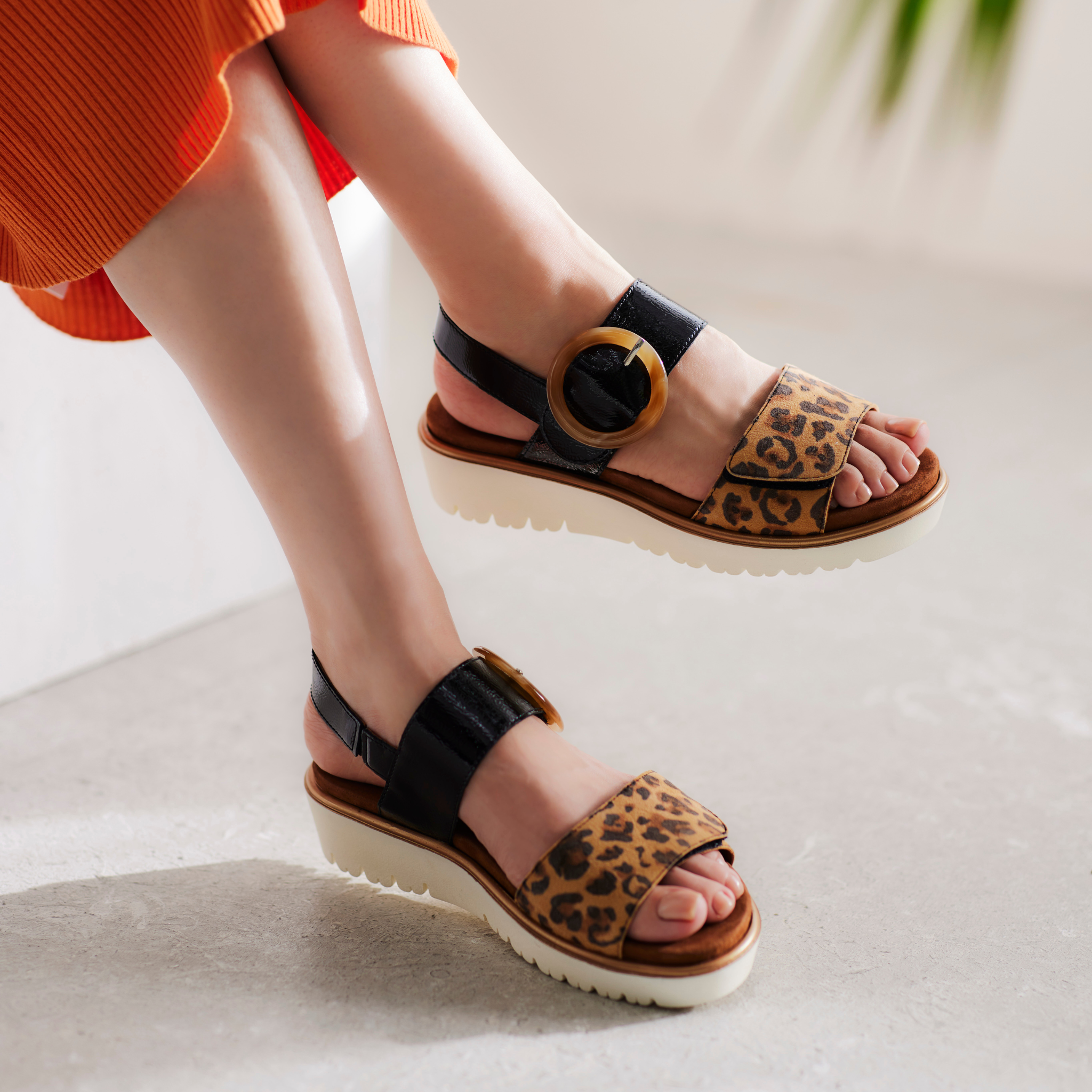 5/16発売商品一覧