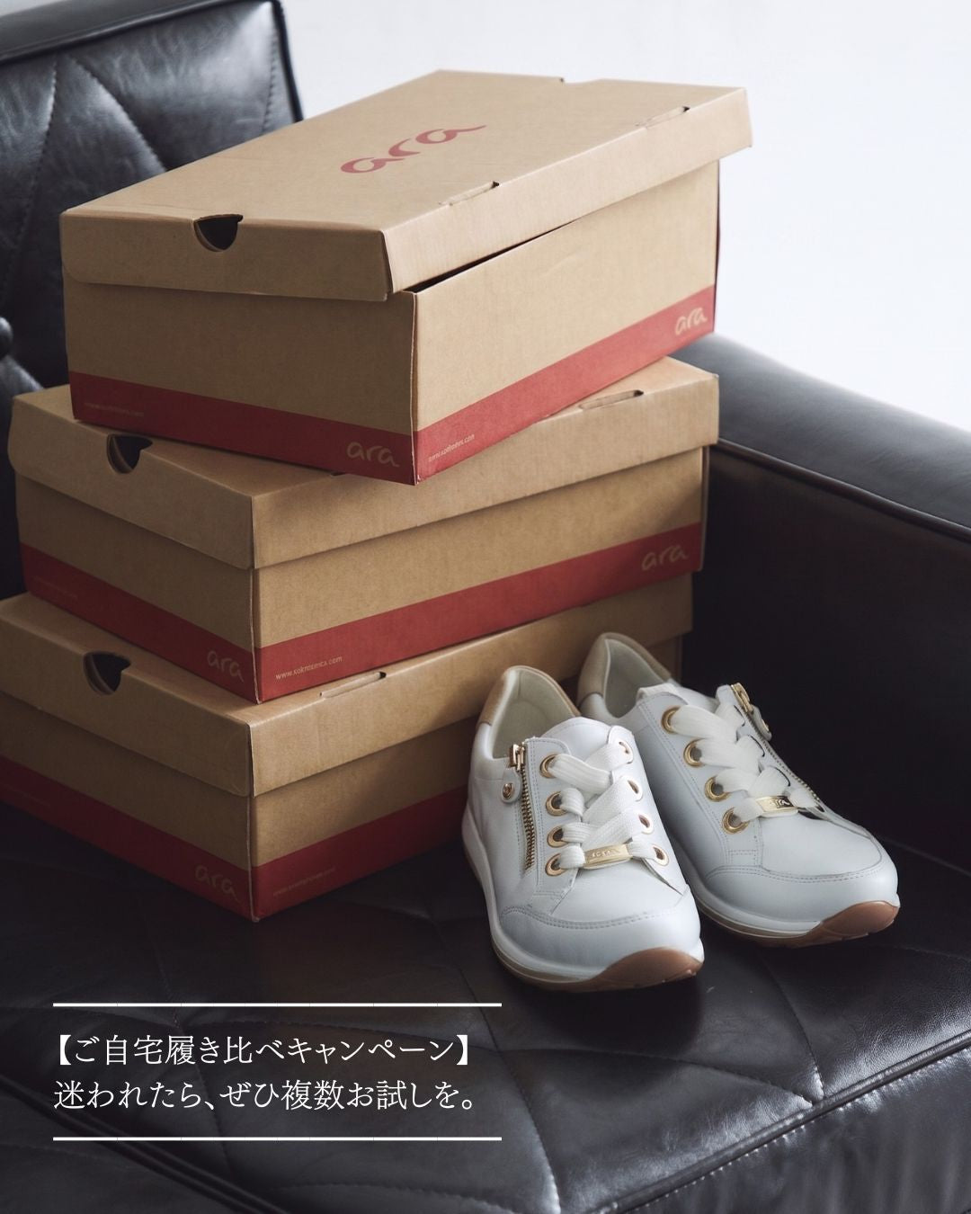 ara collection