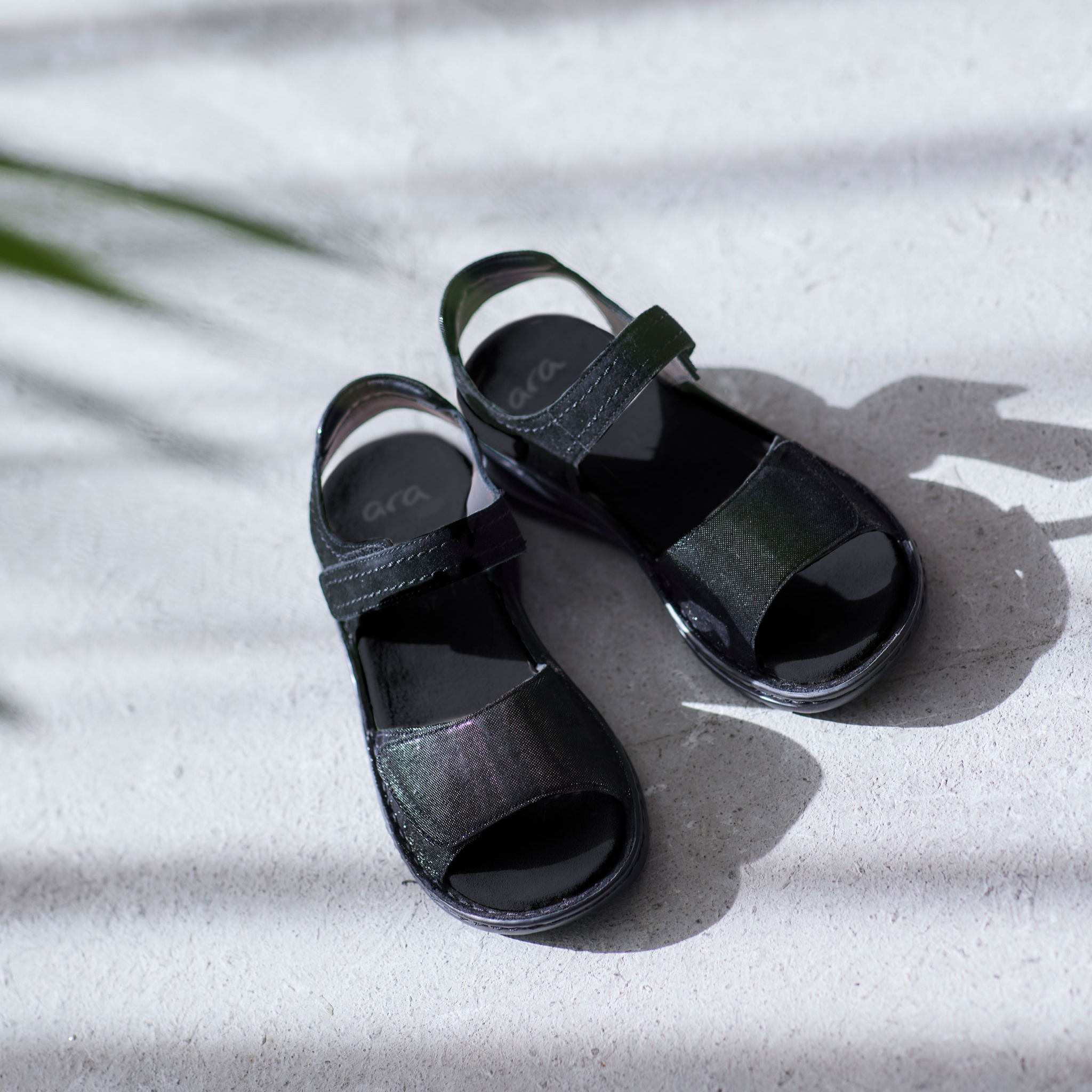 【SALE】[12-47207] TAMPA ※返品不可